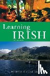 O'Siadhail, Michael - Learning Irish