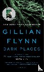 Gillian Flynn - Dark Places