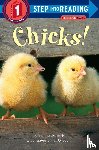 Horning, Sandra - Chicks!