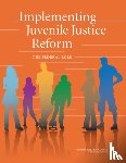 National Research Council, Division of Behavioral and Social Sciences and Education, Committee on Law and Justice, Committee on a Prioritized Plan to Implement a Developmental Approach in Juvenile Justice Reform - Implementing Juvenile Justice Reform