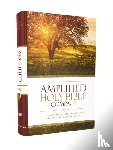 Zondervan Publishing - Amplified Holy Bible, Compact, Hardcover