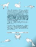 Lang, Robert J., Weiss, Stephen - Origami Zoo