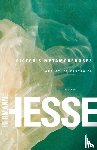 Hesse, Hermann - Pictor's Metamorphoses