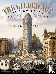 Esther Crain - The Gilded Age In New York, 1870 - 1910