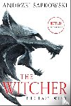 Sapkowski, Andrzej - The Last Wish