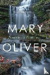Oliver, Mary - Oliver, M: American Primitive