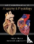 Hebert, Nora, Heisler, Ruth, Krabbenhoft, Karen, Malakhova, Olga - Photographic Atlas for Anatomy & Physiology, A