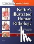 Buja, L. Maximilian, Krueger, Gerhard R. F. (The University of Texas Health Science Center at Houston) - Netter's Illustrated Human Pathology Updated Edition