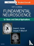 Haines, Duane E., Mihailoff, Gregory A. (Professor Emeritus - Fundamental Neuroscience for Basic and Clinical Applications