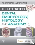 Fehrenbach, Margaret J. (Oral Biologist and Dental Hygienist; Previous Adjunct Instructor, Popowics, Tracy (Associate Professor - Illustrated Dental Embryology, Histology, and Anatomy