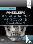 Nelson, Stanley J. (Professor - Wheeler's Dental Anatomy, Physiology and Occlusion
