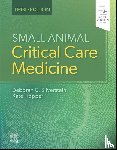 Silverstein, Deborah (Assistant Professor (Critical Care), Hopper, Kate - Small Animal Critical Care Medicine