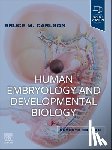Carlson, Bruce M. - Human Embryology and Developmental Biology