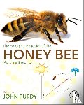  - The Foraging Behavior of the Honey Bee (Apis mellifera, L.)