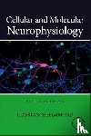 Hammond, Constance (Director of Research INSERM U901 - Cellular and Molecular Neurophysiology