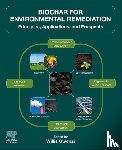  - Biochar for Environmental Remediation