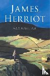 Herriot, James - Vets Might Fly