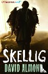 Almond, David - Skellig