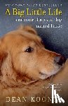 Koontz, Dean - A Big Little Life
