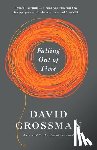 David Grossman - Falling Out of Time
