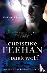 Feehan, Christine - Dark Wolf