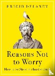 Delaney, Brigid - Reasons Not to Worry