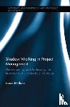 Bertholo, Joana - Shadow Working in Project Management