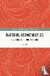 Ihde, Don - Material Hermeneutics