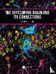Bianchi, Lynne M. - The Developing Brain and its Connections