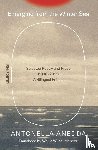 Anedda, Antonella - Emerging from the Winter Sea