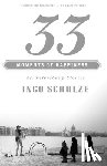 Schulze, Ingo - 33 Moments of Happiness