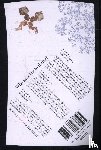 Danielewski, Mark Z. - The Familiar, Volume 4