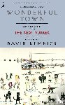 Remnick, David - Wonderful Town