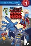 Eliopulos, Nick - Super Friends: Flying High (DC Super Friends)