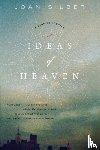 Silber, J. - Ideas of Heaven