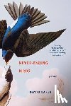 Baker, David (Denison University) - Never-Ending Birds