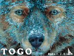 Blake, Robert J. - Togo