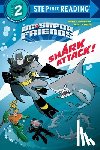 Wrecks, Billy - Shark Attack! (DC Super Friends)