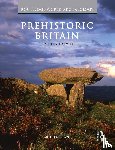 Darvill, Timothy (University of Bournemouth - Prehistoric Britain