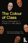 Rollock, Nicola (University of Birmingham, Gillborn, David (University of Birmingham, Vincent, Carol (Institute of Education, Ball, Stephen J. (Institute of Education - The Colour of Class