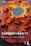 Vertovec, Steven (Max Planck Institute for the Study of Religious and Ethnic Diversity - Superdiversity