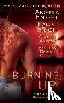 Brook, Meljean, Kantra, Virginia, Knight, Angela - Burning Up