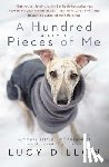 Dillon, Lucy - A Hundred Pieces of Me