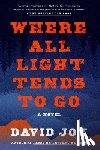 Joy, David - Where All Light Tends to Go