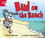  - Rigby Star Guided Phonic Opportunity Readers Red: Bud On The Beach