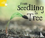  - Rigby Star Guided Quest Yellow: From Seedling To Tree