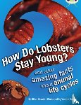 Powell, Jillian - Bug Club Independent Non Fiction Year 3 Brown A How Do Lobsters Stay Young?