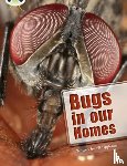 Eggleton, Jill - Bug Club Independent Non Fiction Year Two Lime A Bugs in our Homes