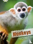 Windsor, Jo - Bug Club Guided Non Fiction Year 3 White A Monkeys