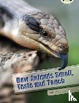 Windsor, Jo - Bug Club Independent Non Fiction Year Two White A How Animals Smell, Taste and Touch